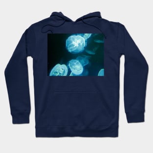 Jelly fish in the dark Hoodie